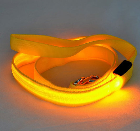 Beleuchtete LED Hundeleine - HIMMLICH.DEHundeleine