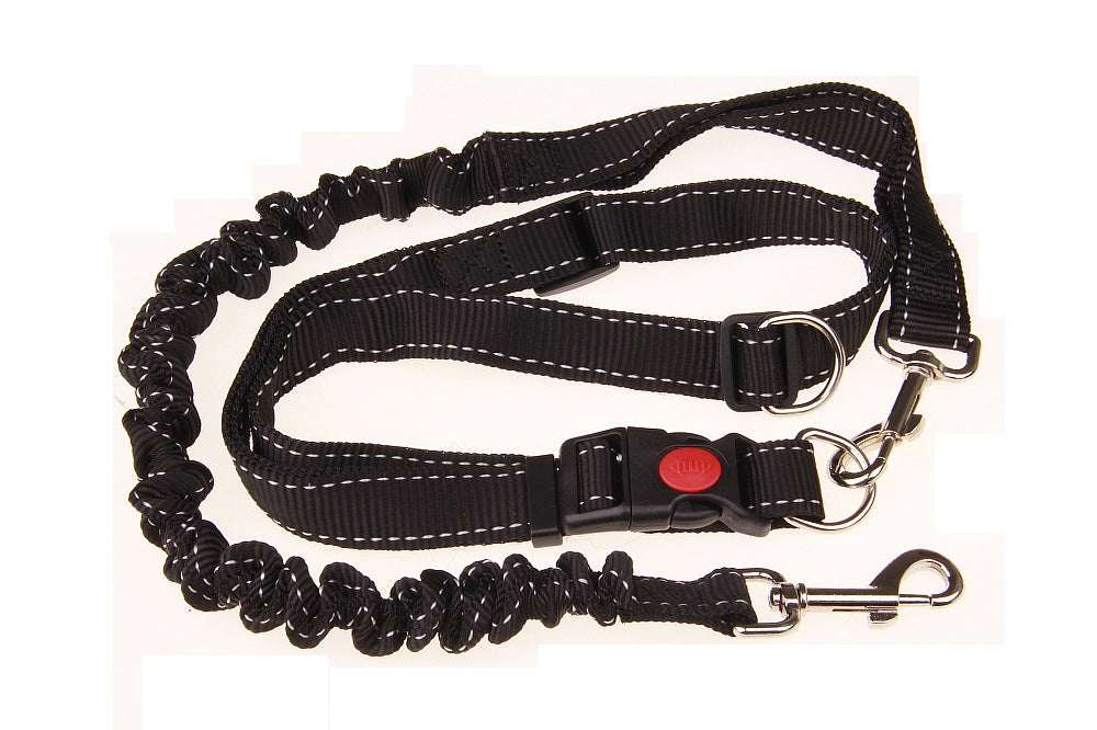 Hundeleine - HIMMLICH.DEHundeleine Halsband Hund