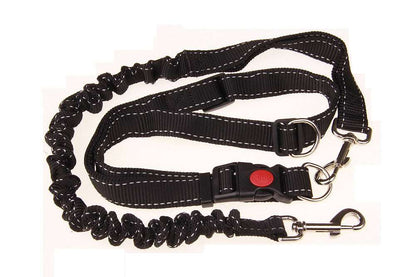Hundeleine - HIMMLICH.DEHundeleine Halsband Hund