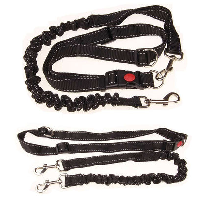 Hundeleine - HIMMLICH.DEHundeleine Halsband Hund