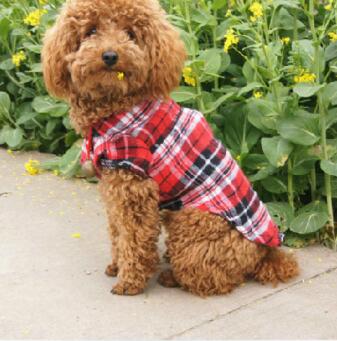 Tier Jacke für kleine Hunde und Katzen - HIMMLICH.DEHundejacke