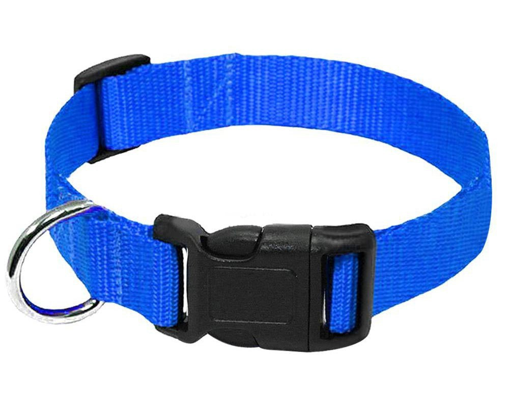 Nylon Halsband Hund - HIMMLICH.DEHundeleine Halsband Hund