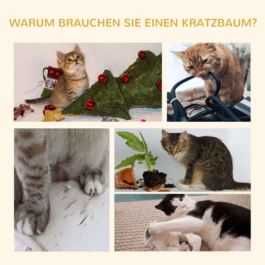 Katzenkratzbaum 240-260 Cm Deckenhoch Kratzbaum Groß Kletterbaum Katze Kratzbaum Für Große Katzen Mit Sisalseil Hellgrau - HIMMLICH.DE  Kratzbaum