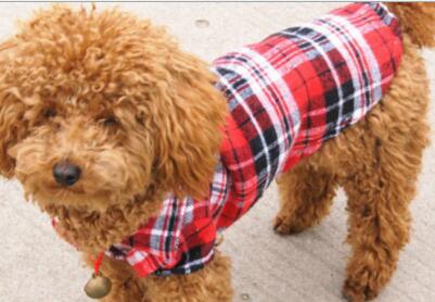 Tier Jacke für kleine Hunde und Katzen - HIMMLICH.DEHundejacke