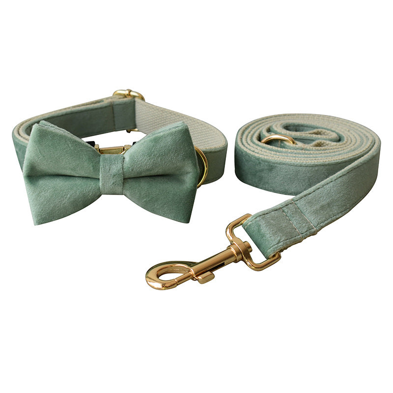 Mint Grünes Hunde Halsband - HIMMLICH.DEHundeleine Halsband Hund
