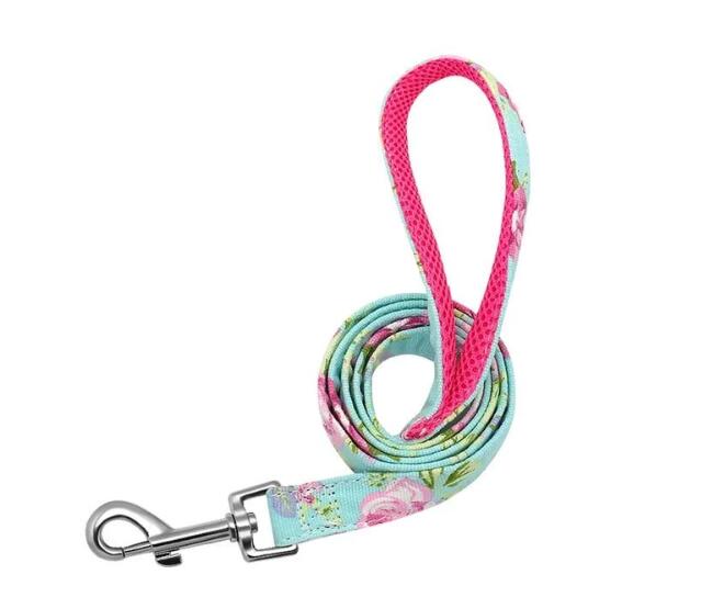 Hundeleine Nylon - HIMMLICH.DEhundeleine