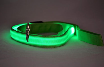 Beleuchtete LED Hundeleine - HIMMLICH.DEHundeleine