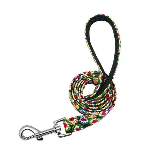 Hundeleine Nylon - HIMMLICH.DEhundeleine