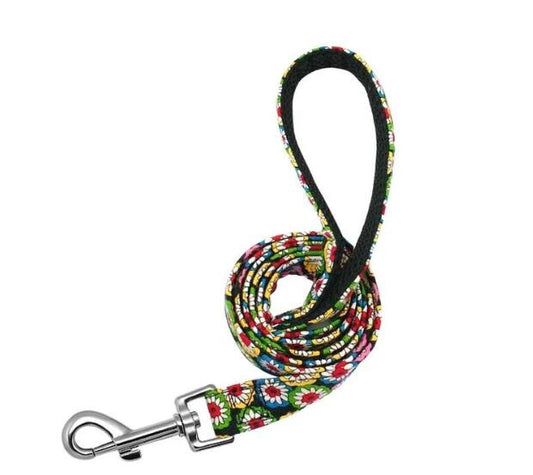 Hundeleine Nylon - HIMMLICH.DEhundeleine