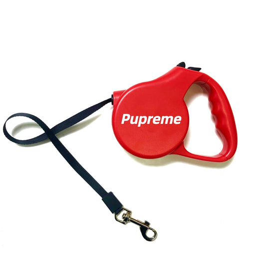 Haustier Automatische einziehbare Hundeleine - HIMMLICH.DEHundeleine Halsband Hund