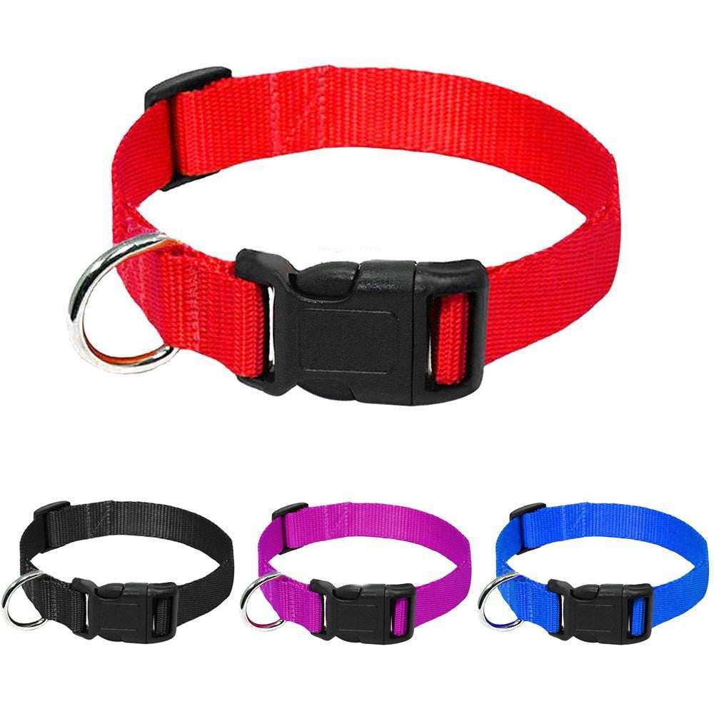 Nylon Halsband Hund - HIMMLICH.DEHundeleine Halsband Hund