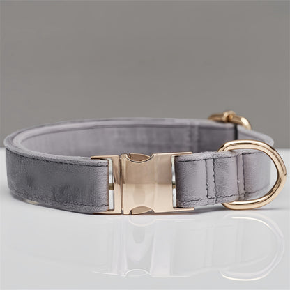 Mint Grünes Hunde Halsband - HIMMLICH.DEHundeleine Halsband Hund