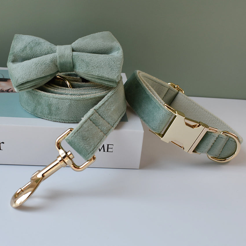 Mint Grünes Hunde Halsband - HIMMLICH.DEHundeleine Halsband Hund