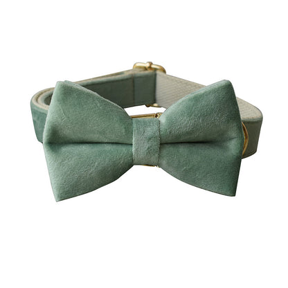 Mint Grünes Hunde Halsband - HIMMLICH.DEHundeleine Halsband Hund