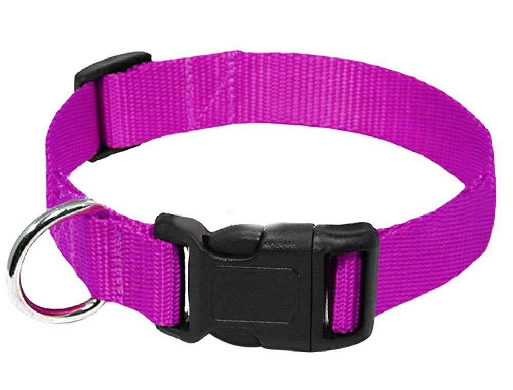 Nylon Halsband Hund - HIMMLICH.DEHundeleine Halsband Hund