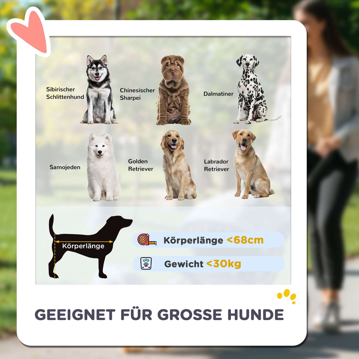 Hundewagen, Faltbarer Hundebuggy Für Große Hunde, Haustierwagen Mit 4 Rädern, Sicherheitsleinen, Bremsen, Dunkelgrün - HIMMLICH.DEHundeanhänger