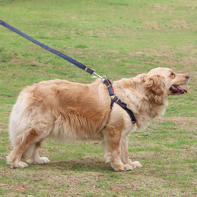 Pipitao Hundeleine Haustierbedarf - HIMMLICH.DEHundeleine Halsband Hund