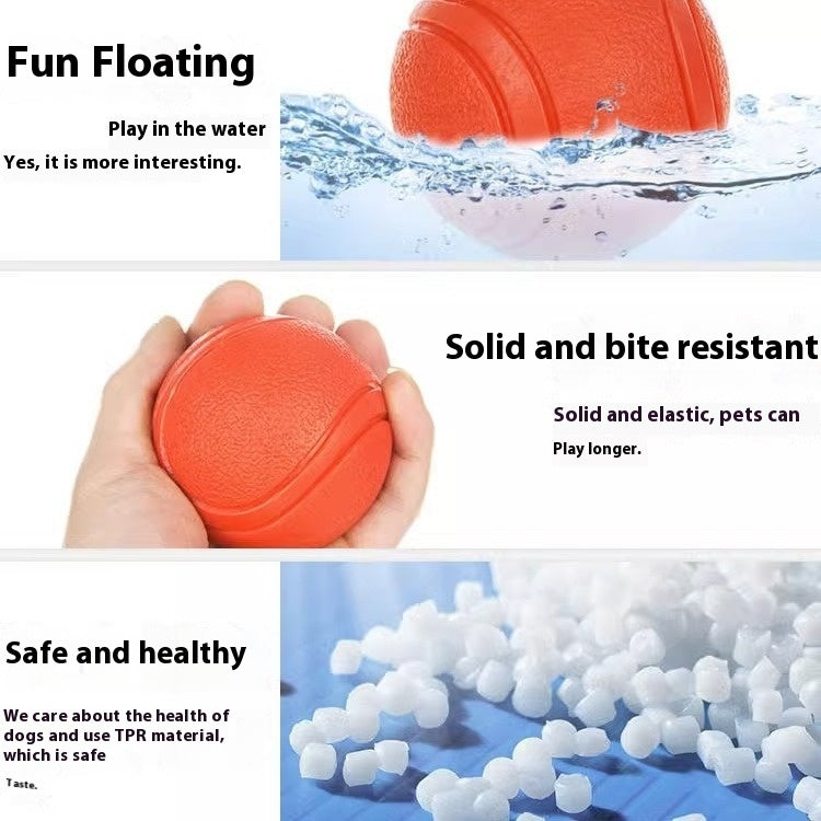 e0b04e2da97f89c559685cc8857039e0