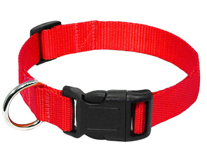 Nylon Halsband Hund - HIMMLICH.DEHundeleine Halsband Hund